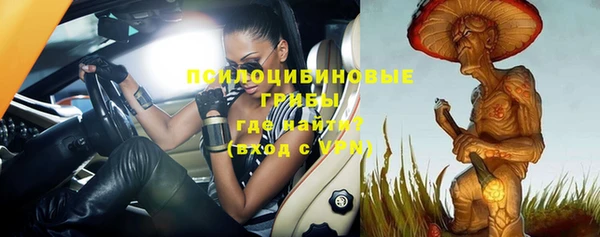 твердый Белая Холуница