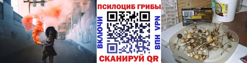 Галлюциногенные грибы Psilocybine cubensis  Зарайск 